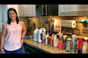 10 productos de limpieza para el hogar que no puedes dejar de tener