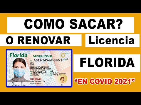 Cita Licencia de Conducir Florida: ¡Agenda tu cita ahora mismo!