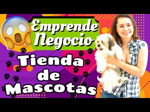 Permisos para abrir una tienda de mascotas: Todo lo que necesitas saber