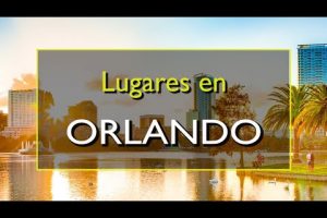 Las 10 mejores llanteras en Orlando, Florida: Encuentra calidad y servicio garantizado