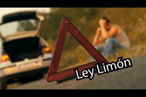 Ley del limón en Florida: Funcionamiento y Explicación