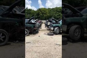 Los 7 mejores yonkes de carros en Dallas, TX: Encuentra las mejores opciones de repuestos y vehículos usados