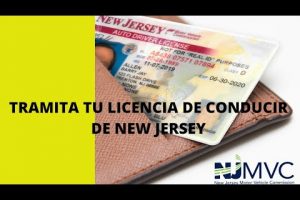 6 puntos para obtener licencia en New York: ¡Conoce los requisitos!