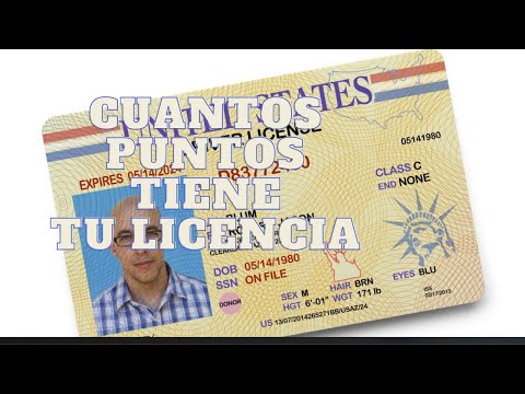 ¿Cuántos puntos en la licencia de conducir en USA?