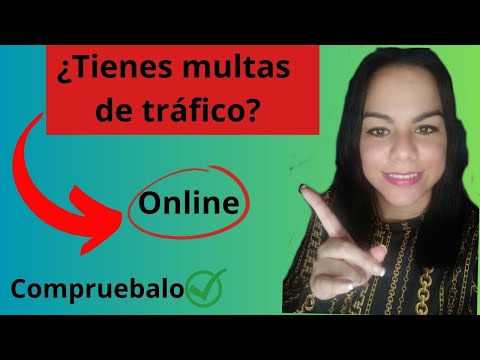 Consulta de multas de tránsito en Florida: ¿Tienes multas sin saberlo?