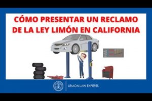 La Ley Limón en California: Funcionamiento y Significado