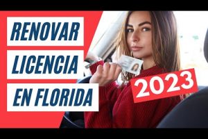 Renovación de licencia de conducir en Miami: ¿Dónde hacerlo?